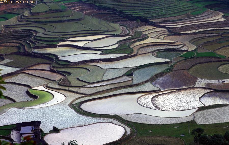 ��԰��ʫ ��¡�续