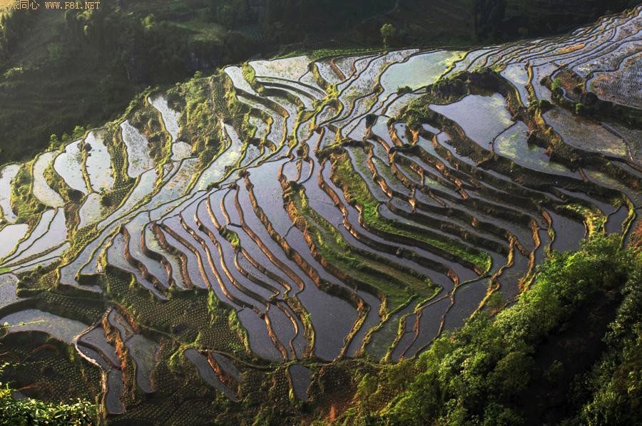 ��԰��ʫ ��¡�续