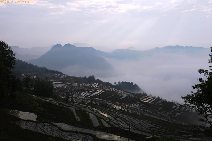 ��԰��ʫ ��¡�续