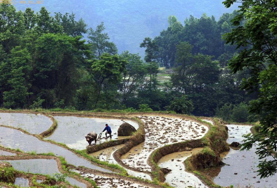 ��԰��ʫ ��¡�续