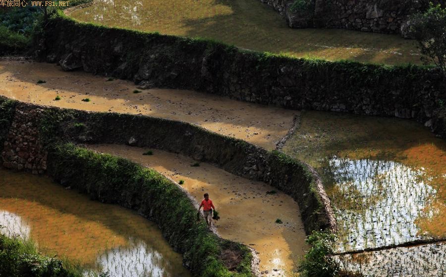 ��԰��ʫ ��¡�续