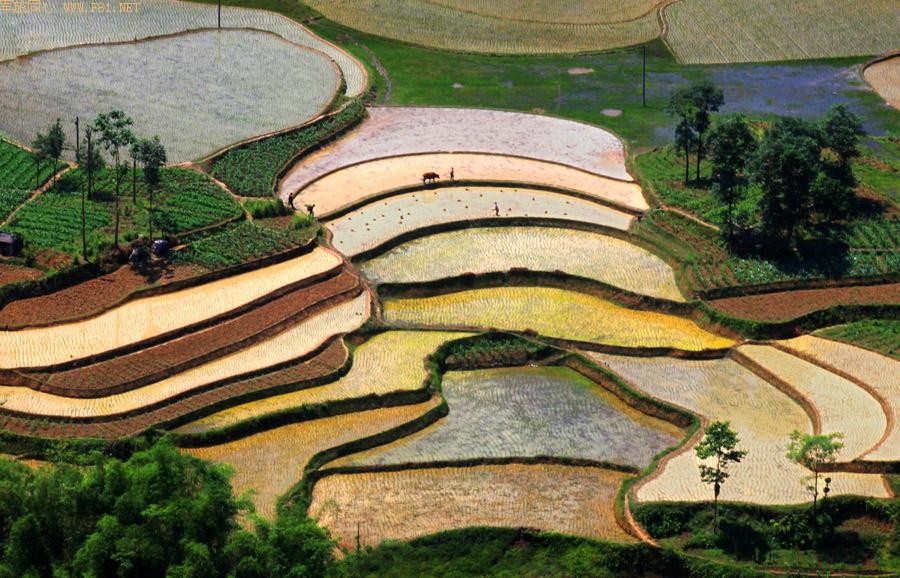 ��¡������԰���