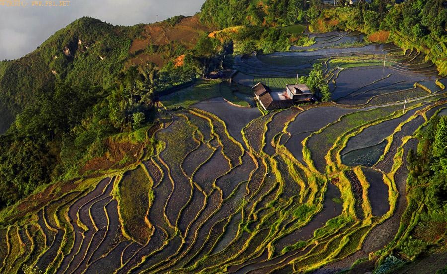 ��¡������԰���