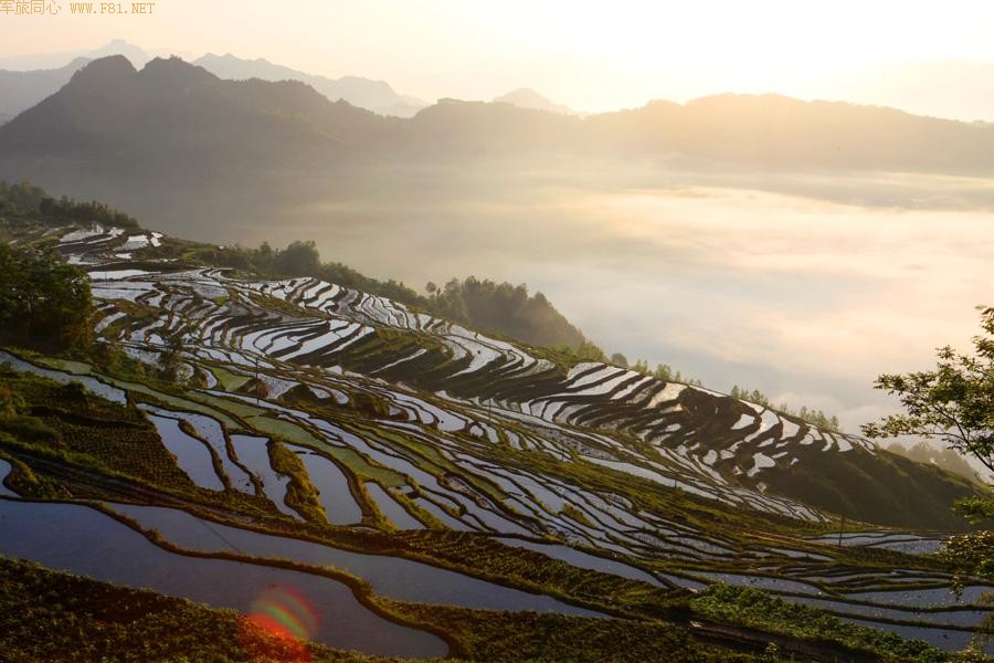 ��¡������԰���