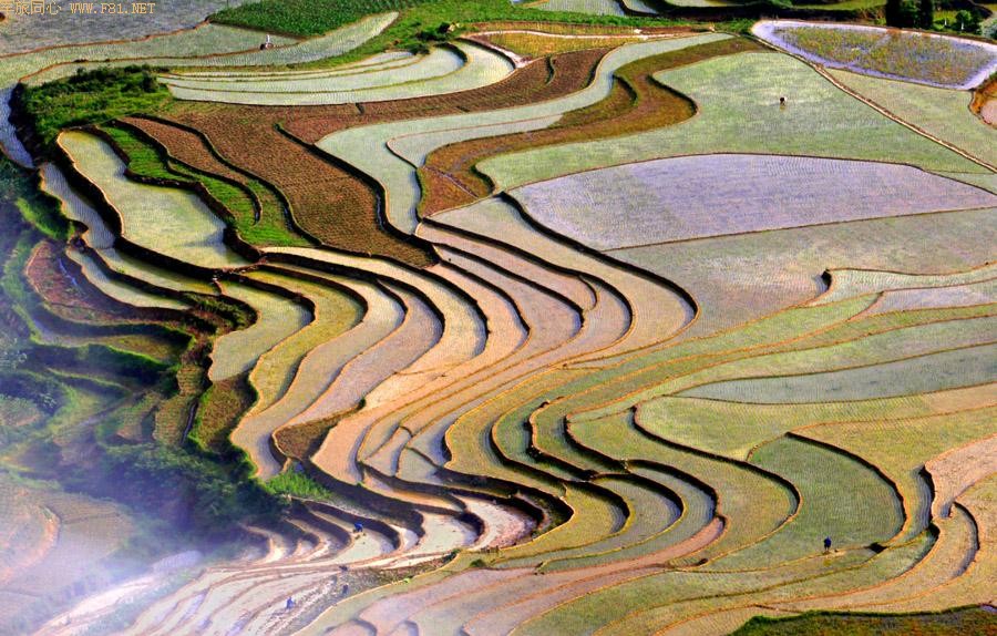 ��¡������԰���