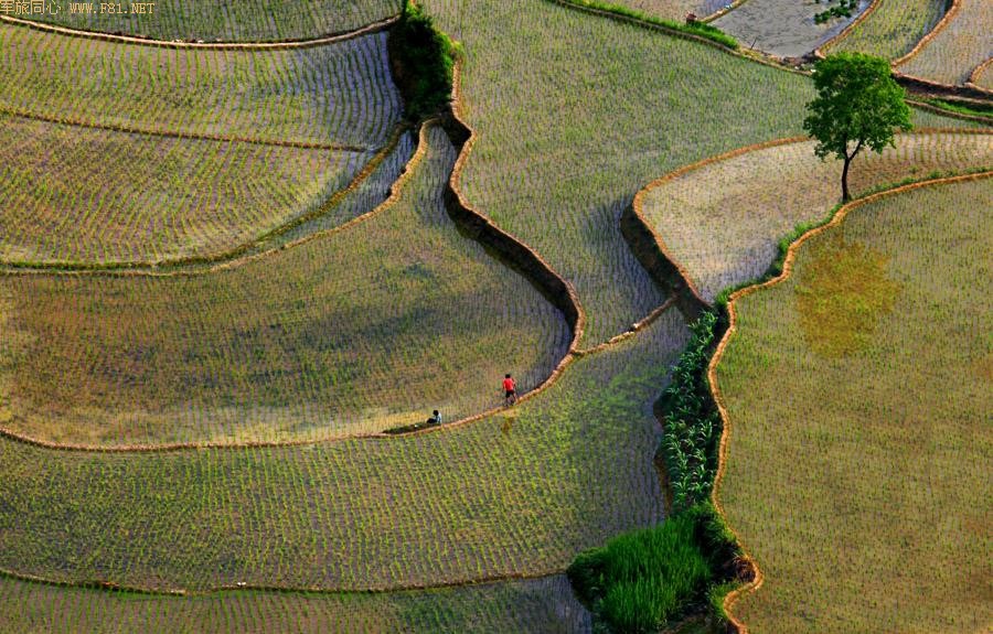 ��¡������԰���