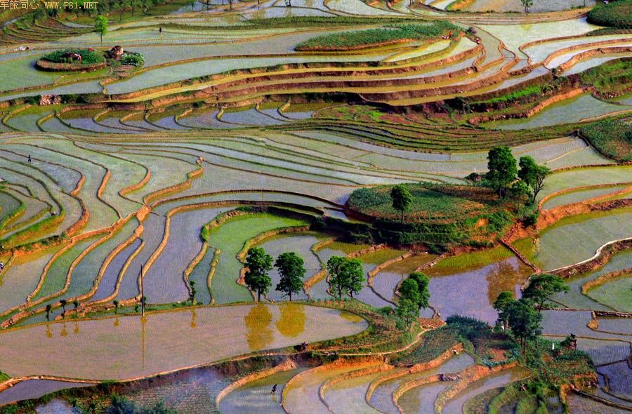 ��¡������԰���