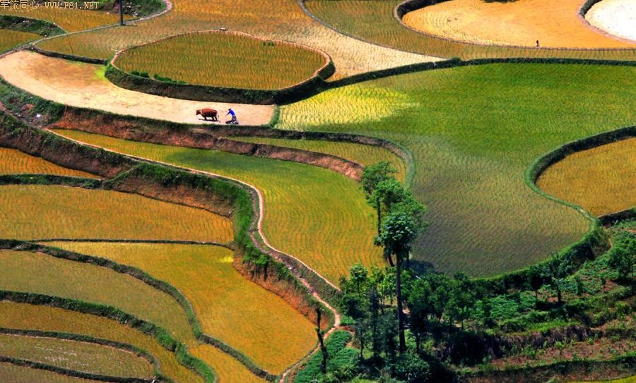 ��¡������԰���