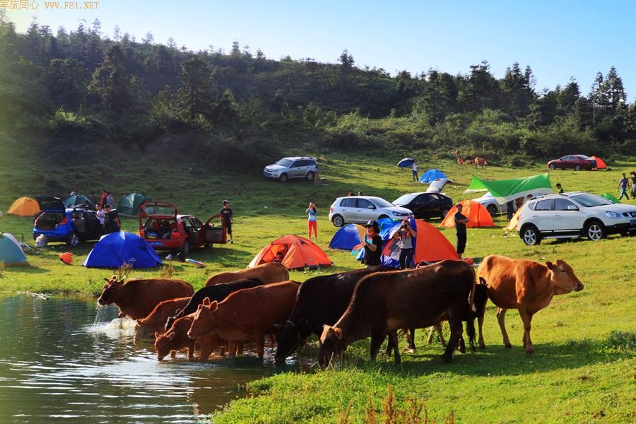 �����������Ůɽ