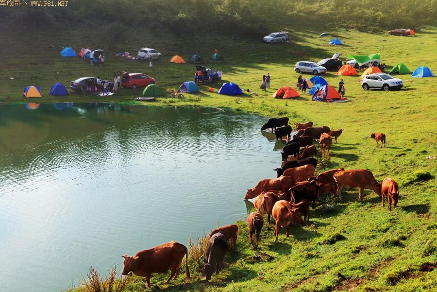 �����������Ůɽ