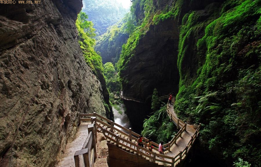 �ط��� ϵ��֮��