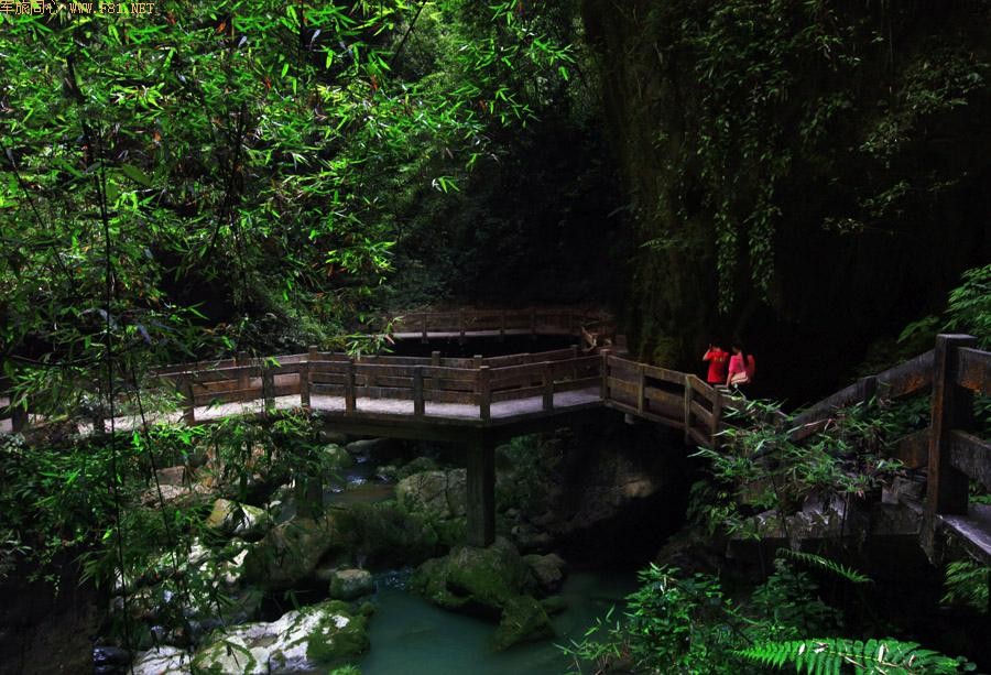 �ط��� ϵ��֮��