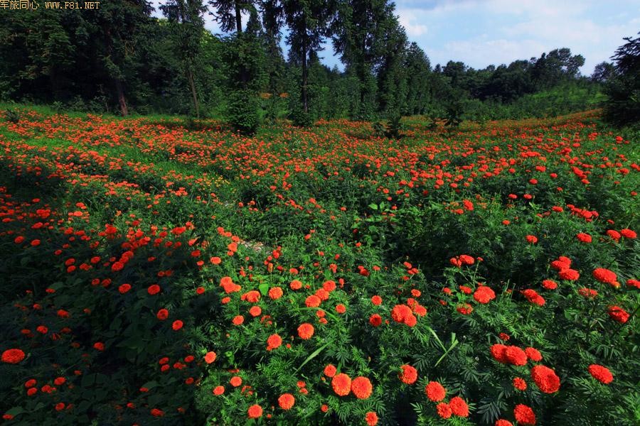 ��Ůɽ���ػ���