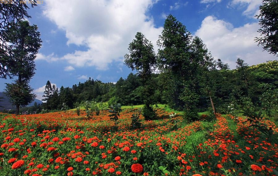 ��Ůɽ���ػ���