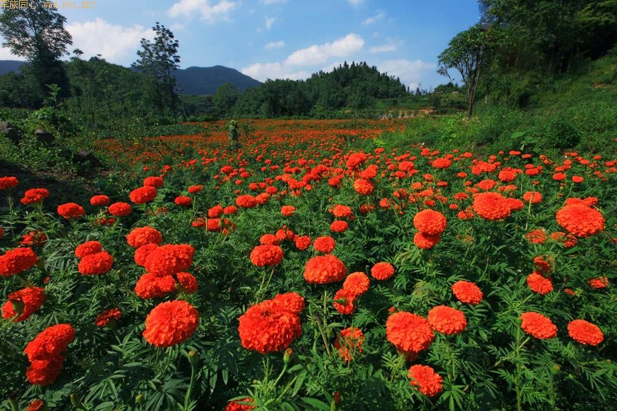 ��Ůɽ���ػ���