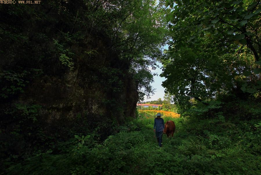 ��Ůɽ���ػ���