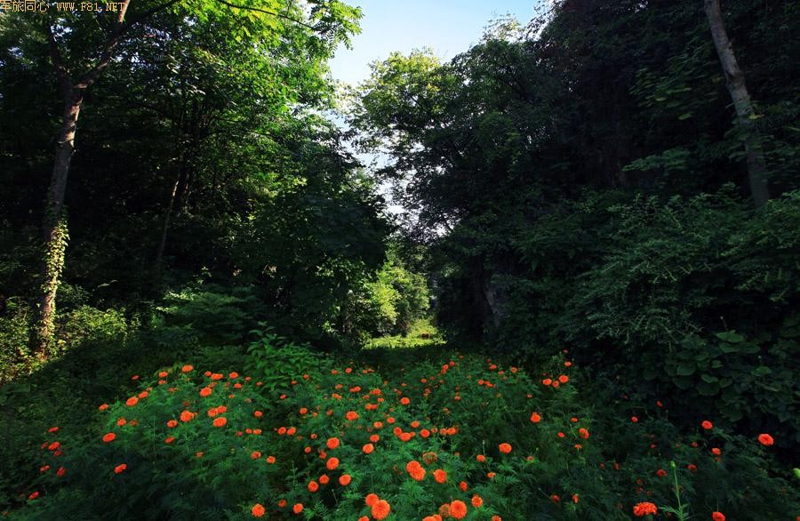 ��Ůɽ���ػ���