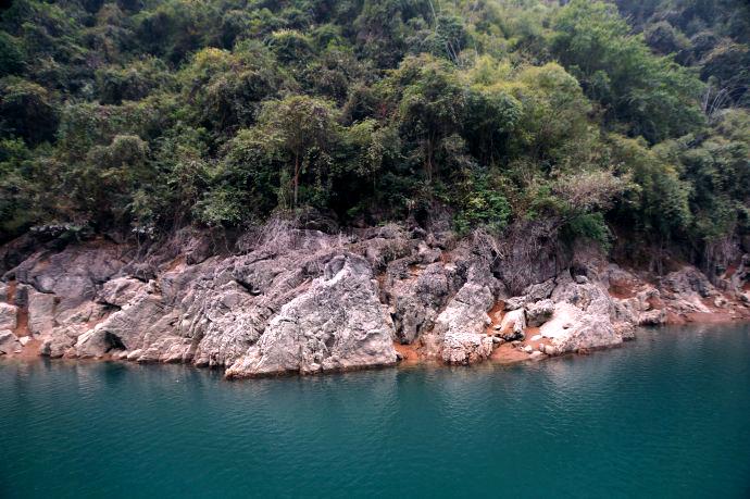 丝竹垂钓,绿影婆娑