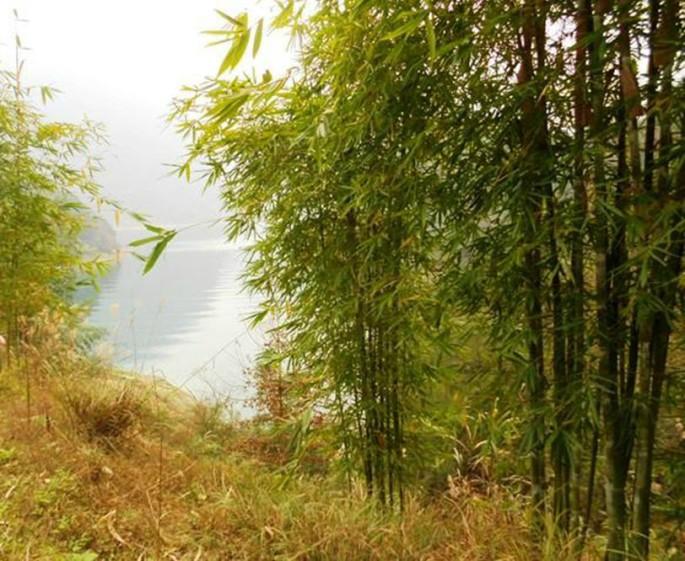 畅游武隆之邂逅人间仙湖芙蓉湖