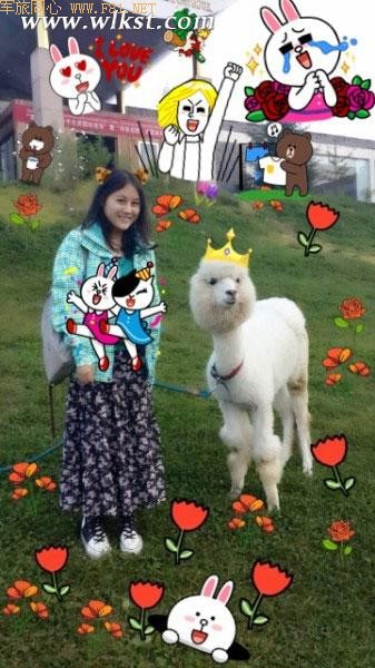 下地狱闯石寺寻宝藏——武隆凤来大石箐石林寺(上)