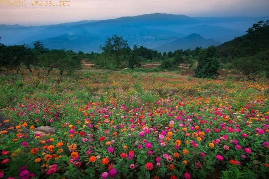 重庆丰都鬼城自驾二日游有新玩法