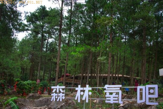 重庆丰都鬼城自驾二日游有新玩法